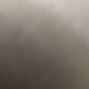 Meet your Posher, Raul